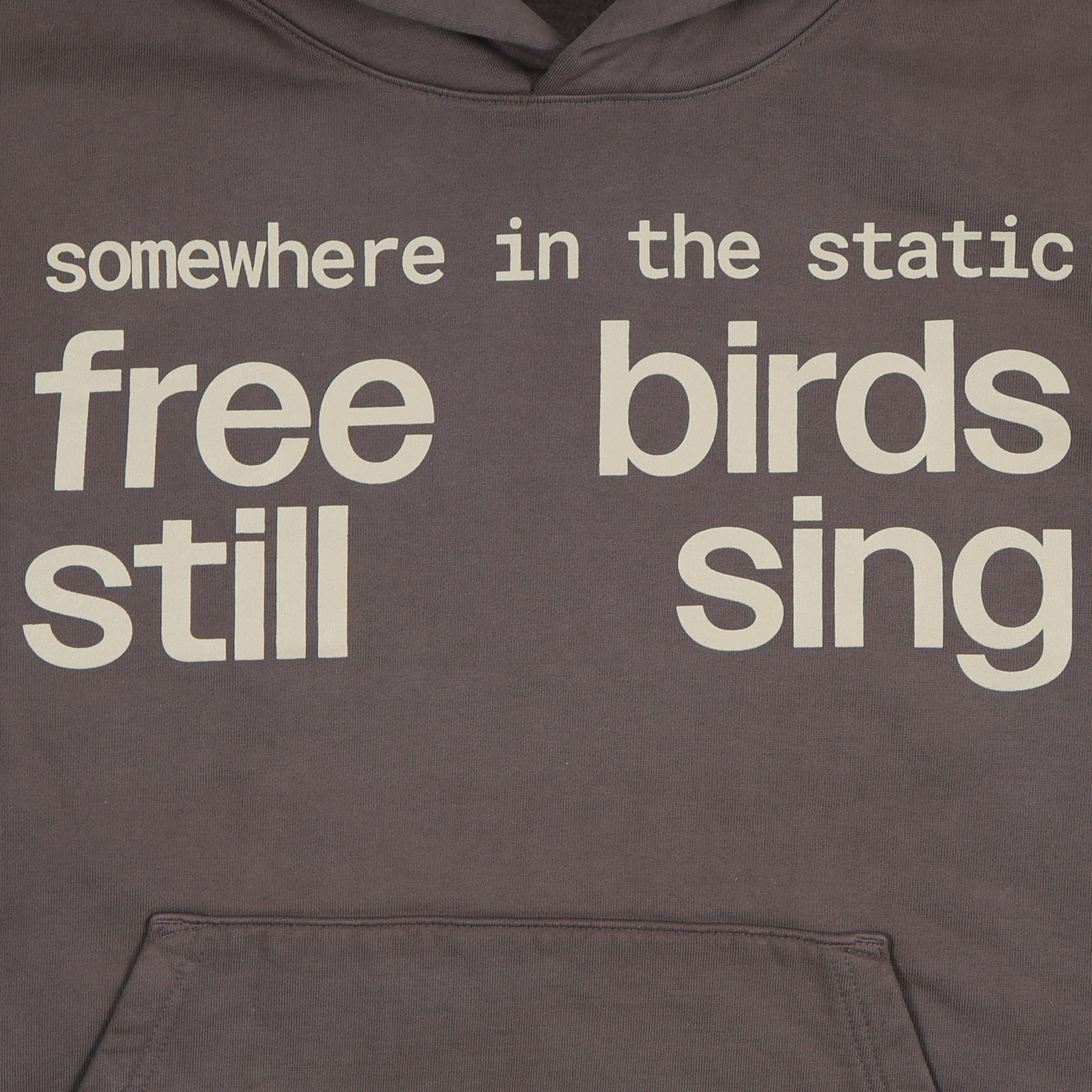 FREE BIRDS SING STATEMENT HOODIE