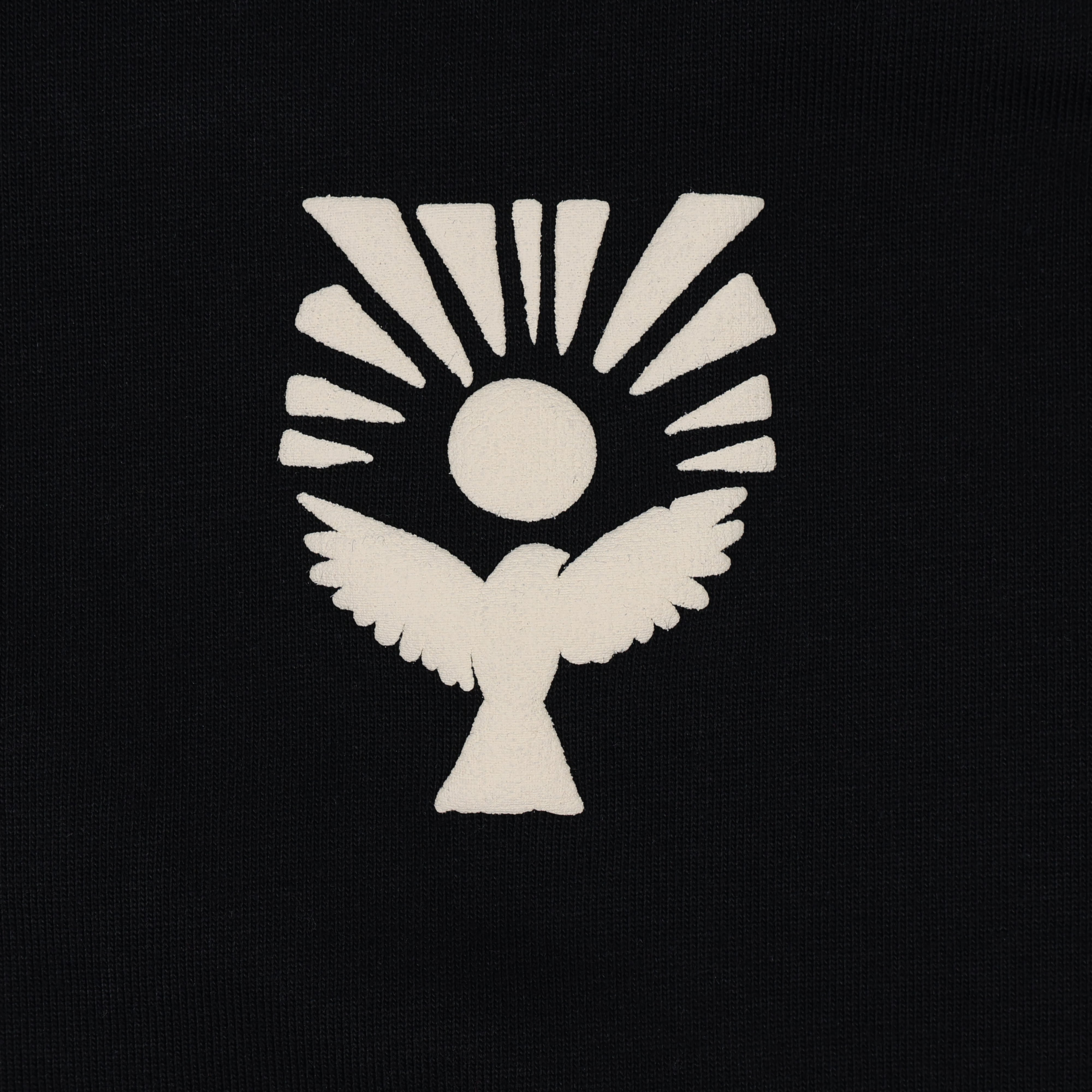 LIGHT THE PATH RUGBY