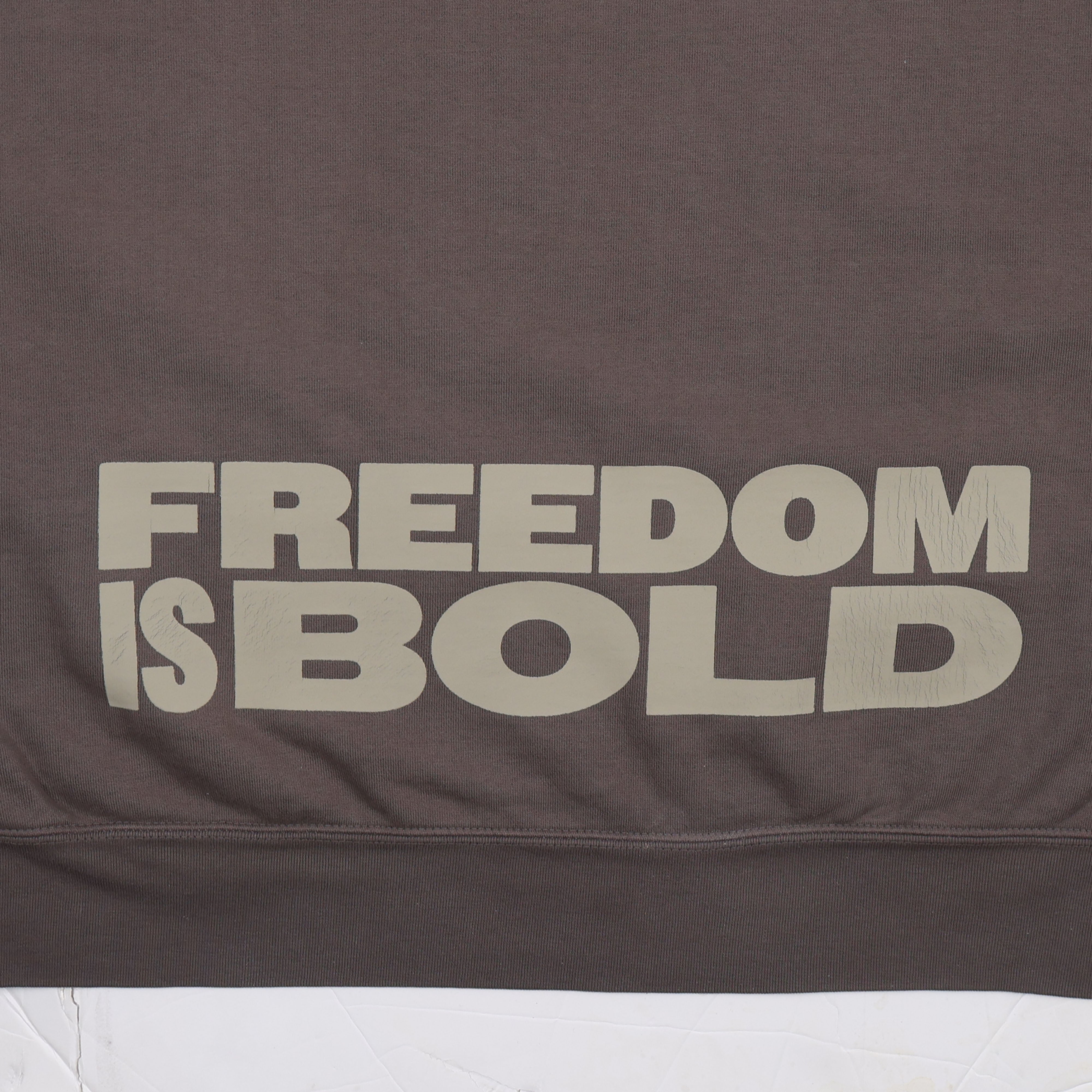 FREE BIRDS SING STATEMENT HOODIE