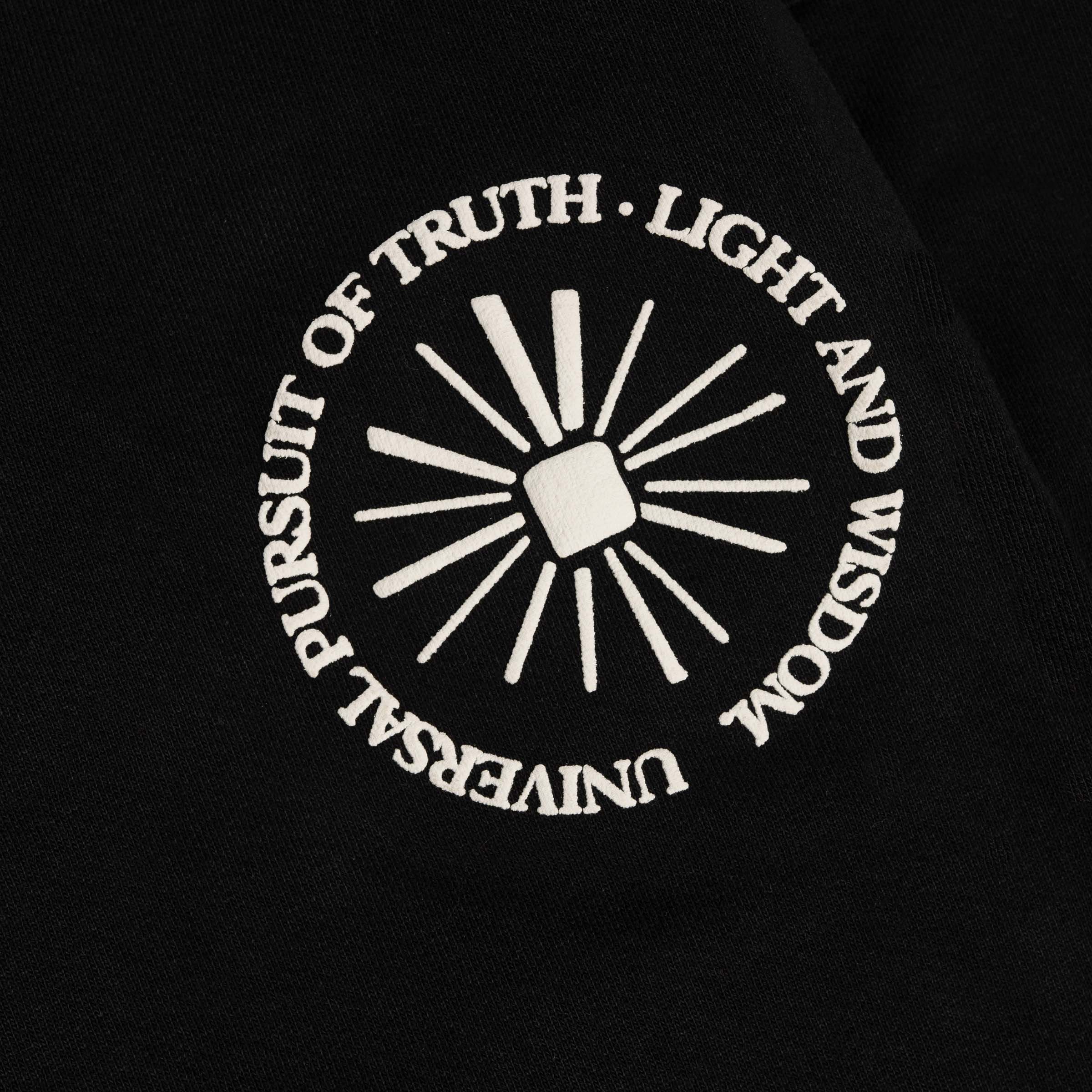 DETAIL VIEW OF UNIVERSAL PURSUIT OF TRUTH, LIGHT, AND WISDOM TEXT GRAPHIC