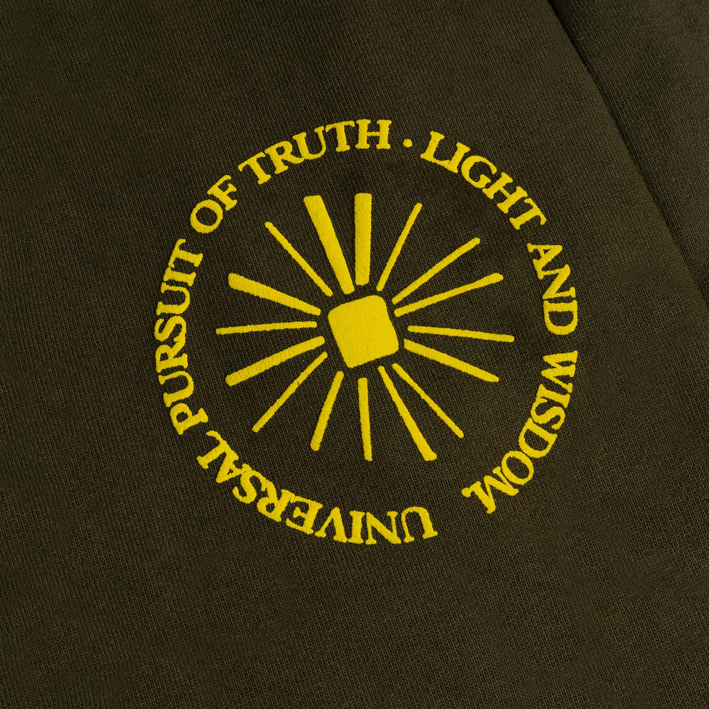 DETAIL VIEW OF UNIVERSAL PURSUIT OF TRUTH, LIGHT, AND WISDOM TEXT GRAPHIC